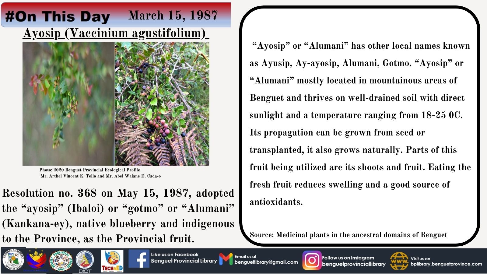 Ayosip - March 15