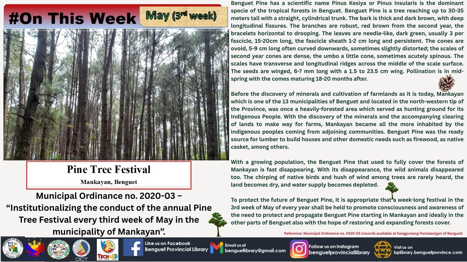 Mankayan pine tree festival - 3rd week